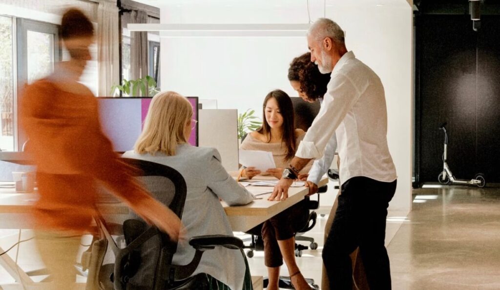 Small business accountants