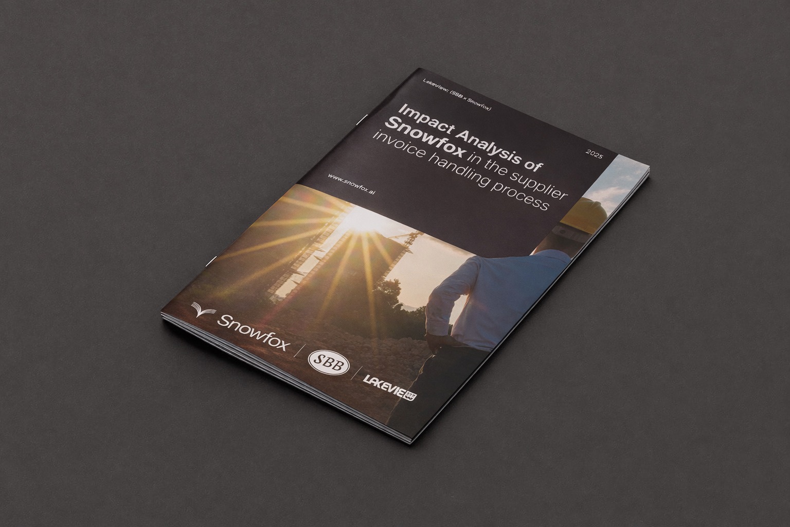 SBB invoice analysis report